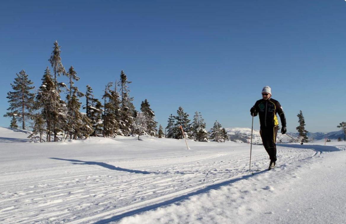Norbel Hytte Norway Vradal Εξωτερικό φωτογραφία